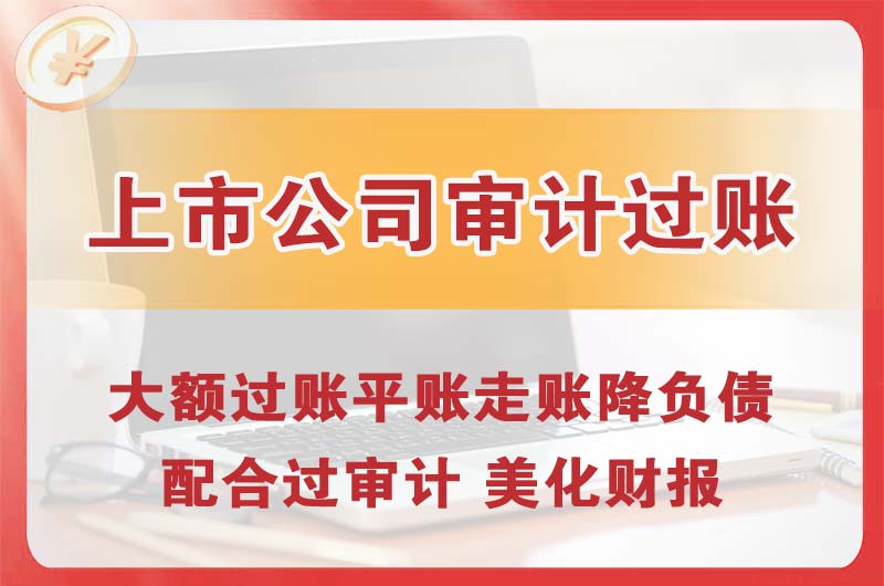 萍乡上市公司审计过账